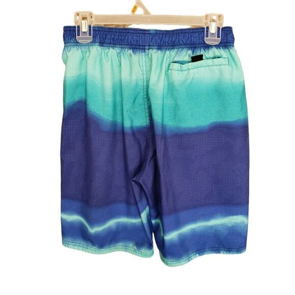 Nike Men's Swim Volley Trunks Landscape Vital 9" Volley Shorts Medium NWOT - Picture 5 of 7